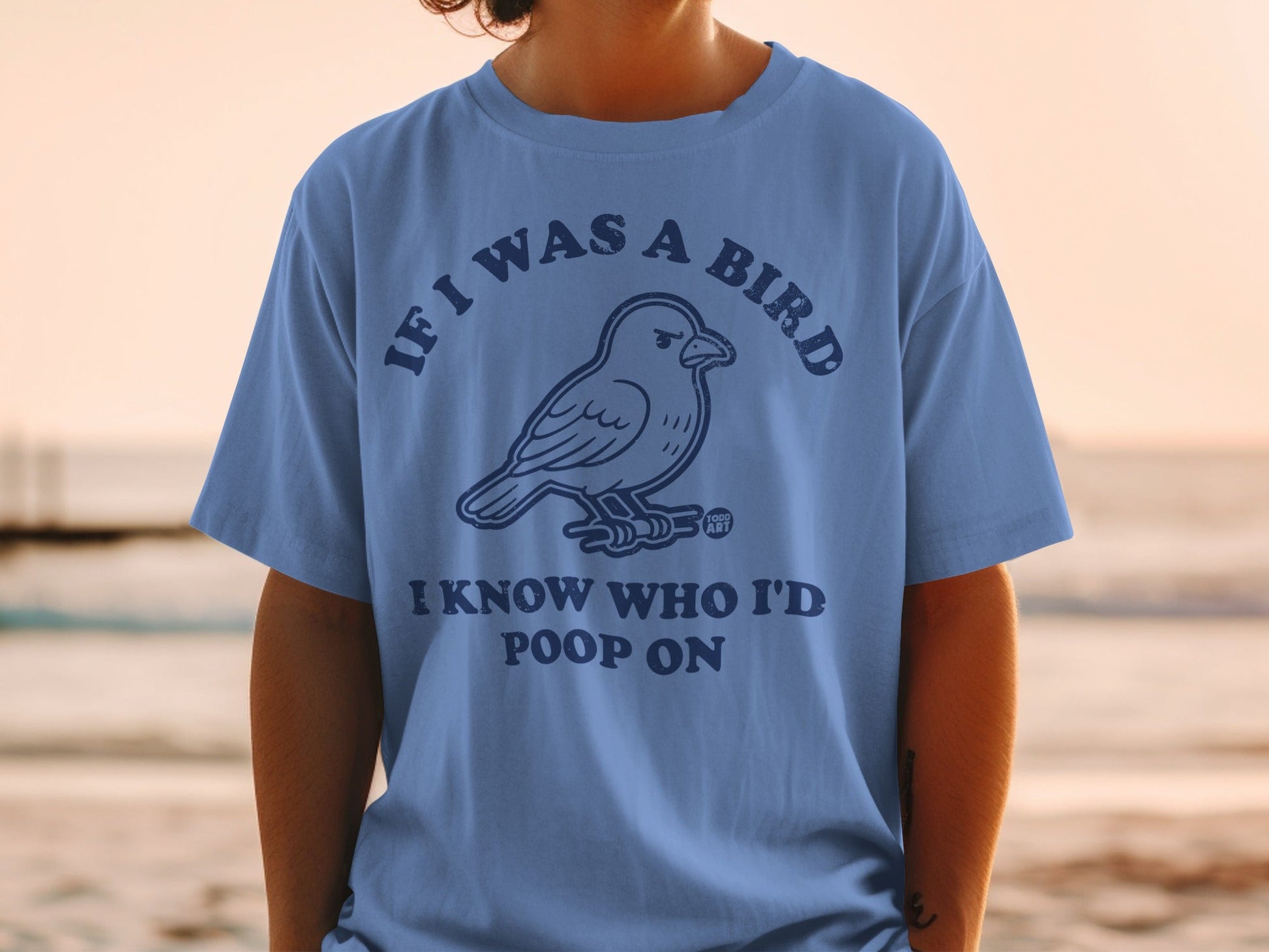 If I Was A Bird I Know Who I'd Poop On T-shirt