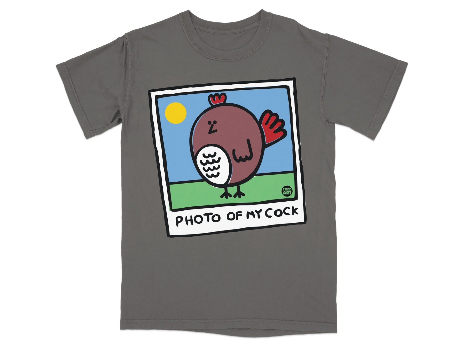 Gray t-shirt with "PHOTO OF MY COCK" and a cartoon bird illustration.