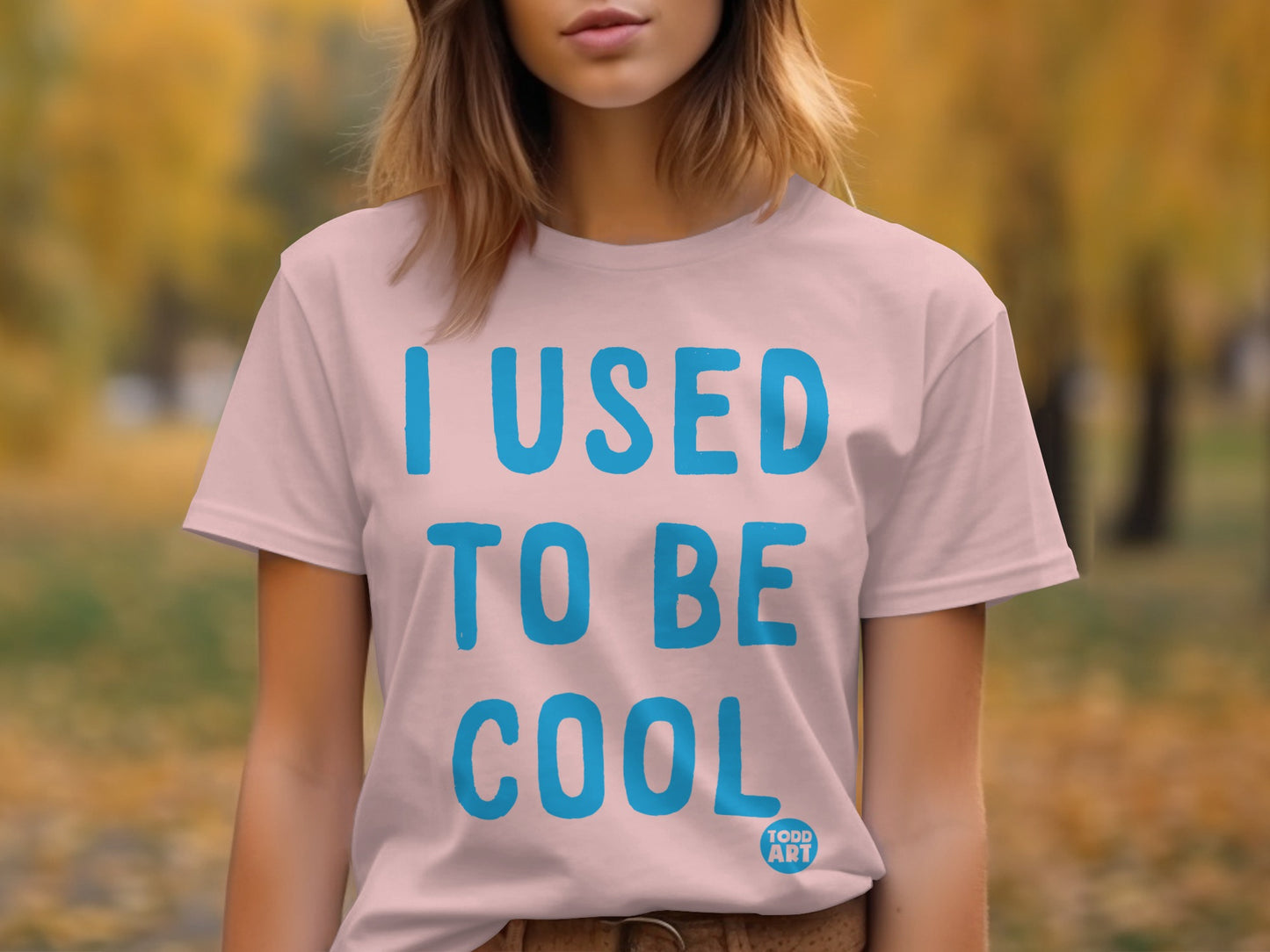 I Used to Be Cool Graphic Tee Shirt product type