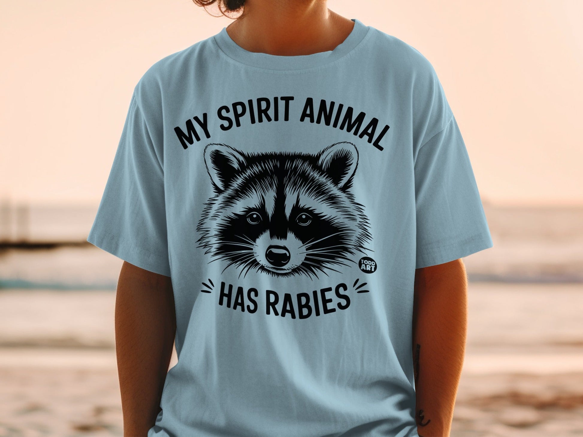 Light blue t-shirt with a black raccoon graphic and "MY SPIRIT ANIMAL HAS RABIES" text.