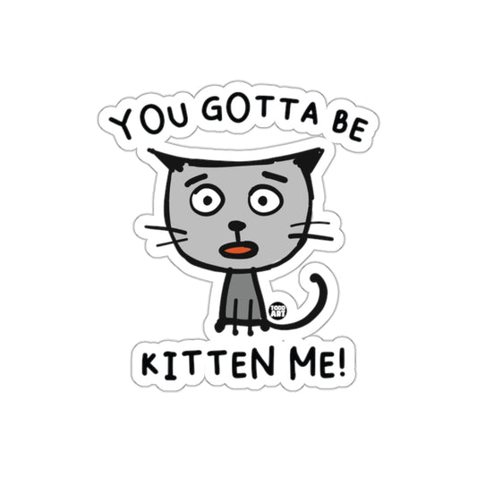You Gotta Be Kitten Me Hilarious Cat Sticker