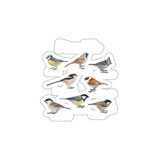 Assorted Colorful Birds Illustration Sticker Set