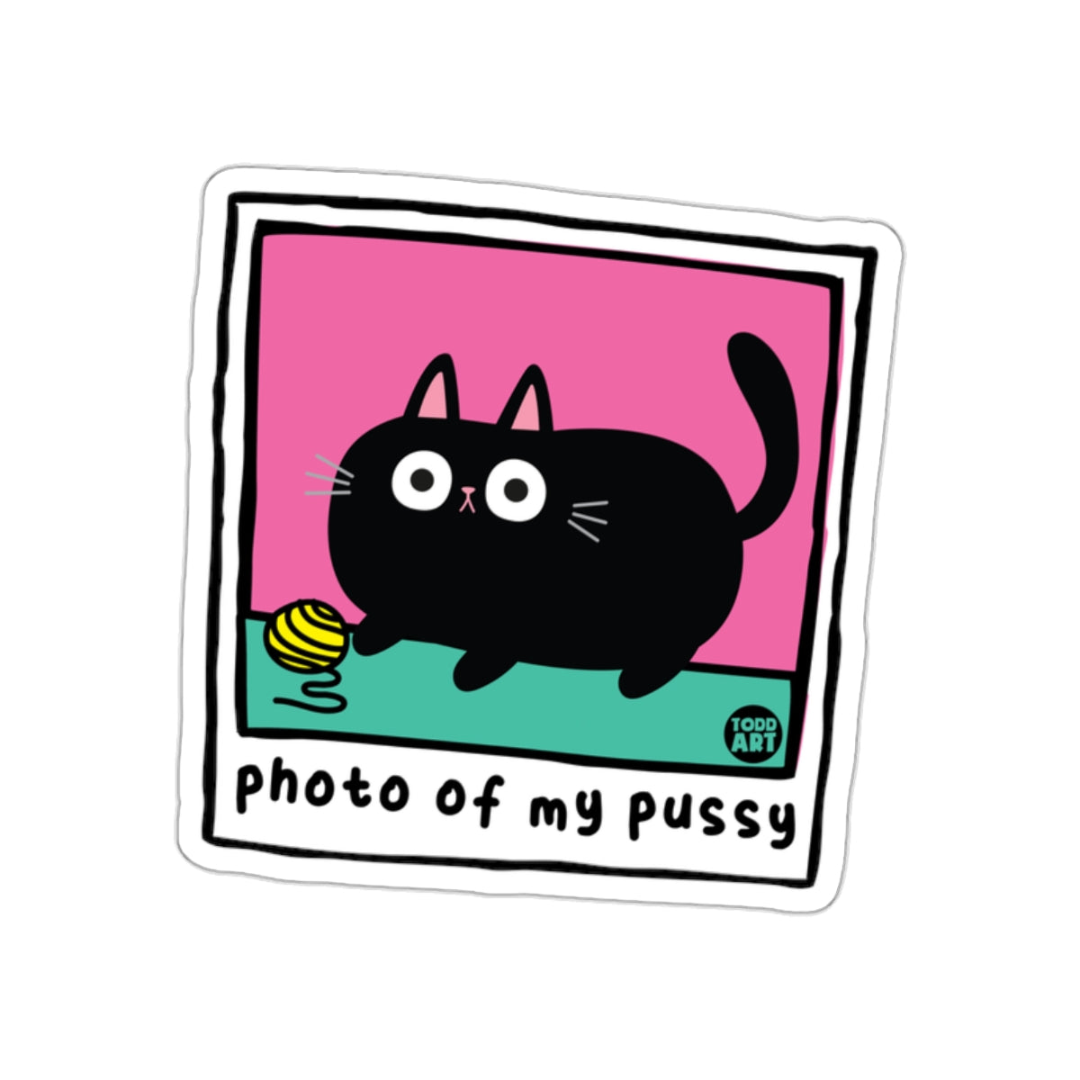 Photo Of My Pussy Black Cat Funny Pun Art Stickers