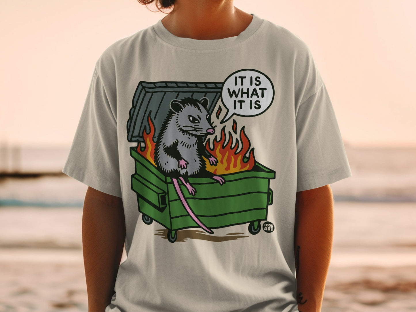 Opossum sitting in a dumpster with flames and text bubble "IT IS WHAT IT IS".