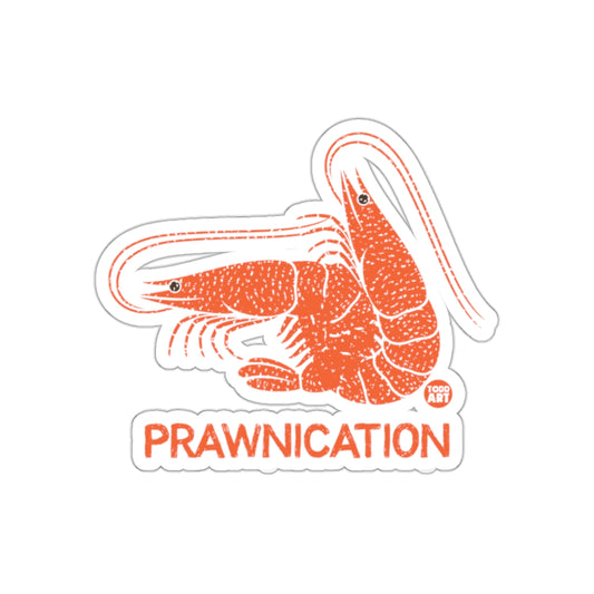 Prawnication Illustrated Seafood Design Sticker