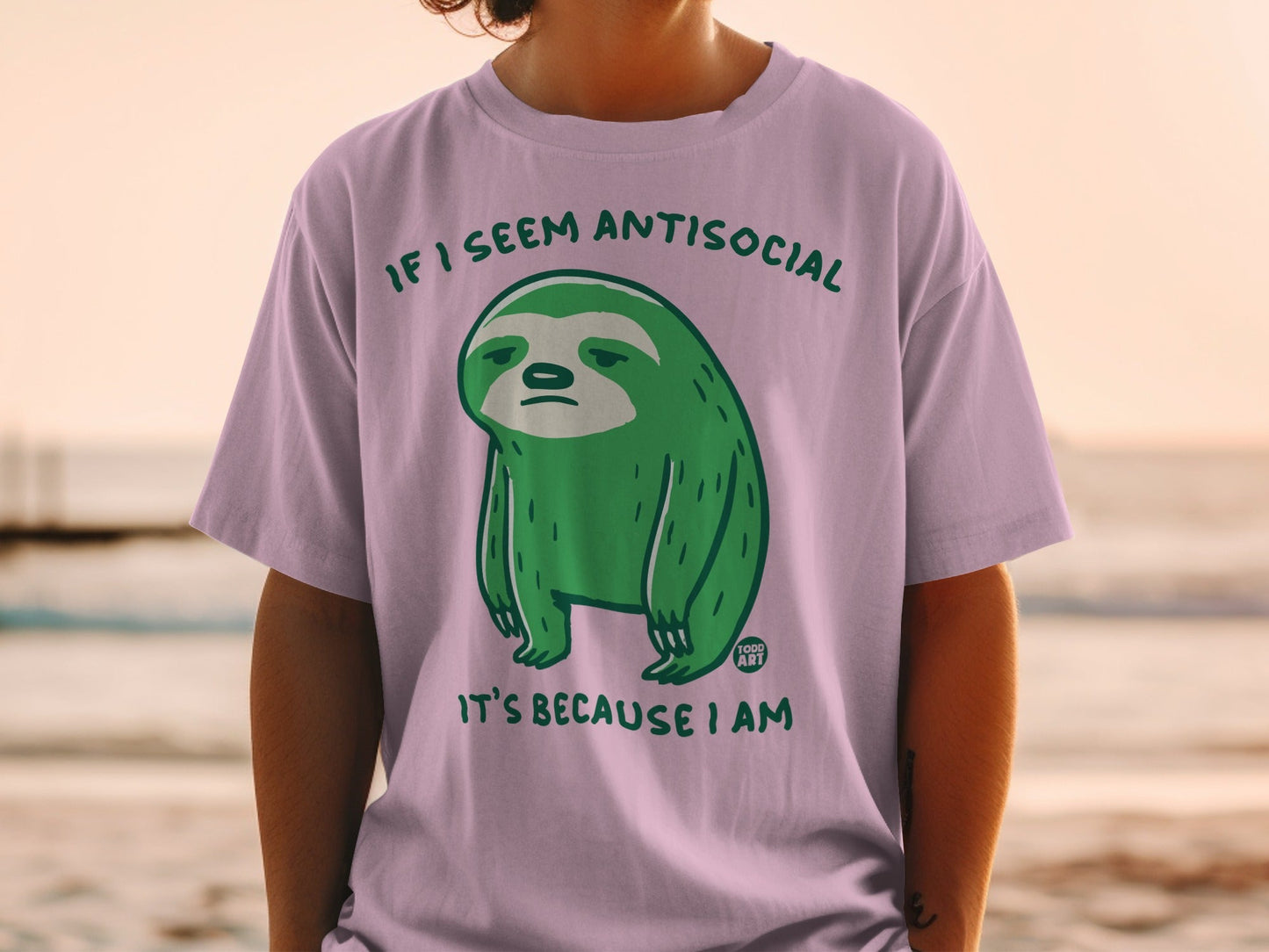 Green sloth on purple t-shirt with "IF I SEEM ANTISOCIAL IT'S BECAUSE I AM" text.