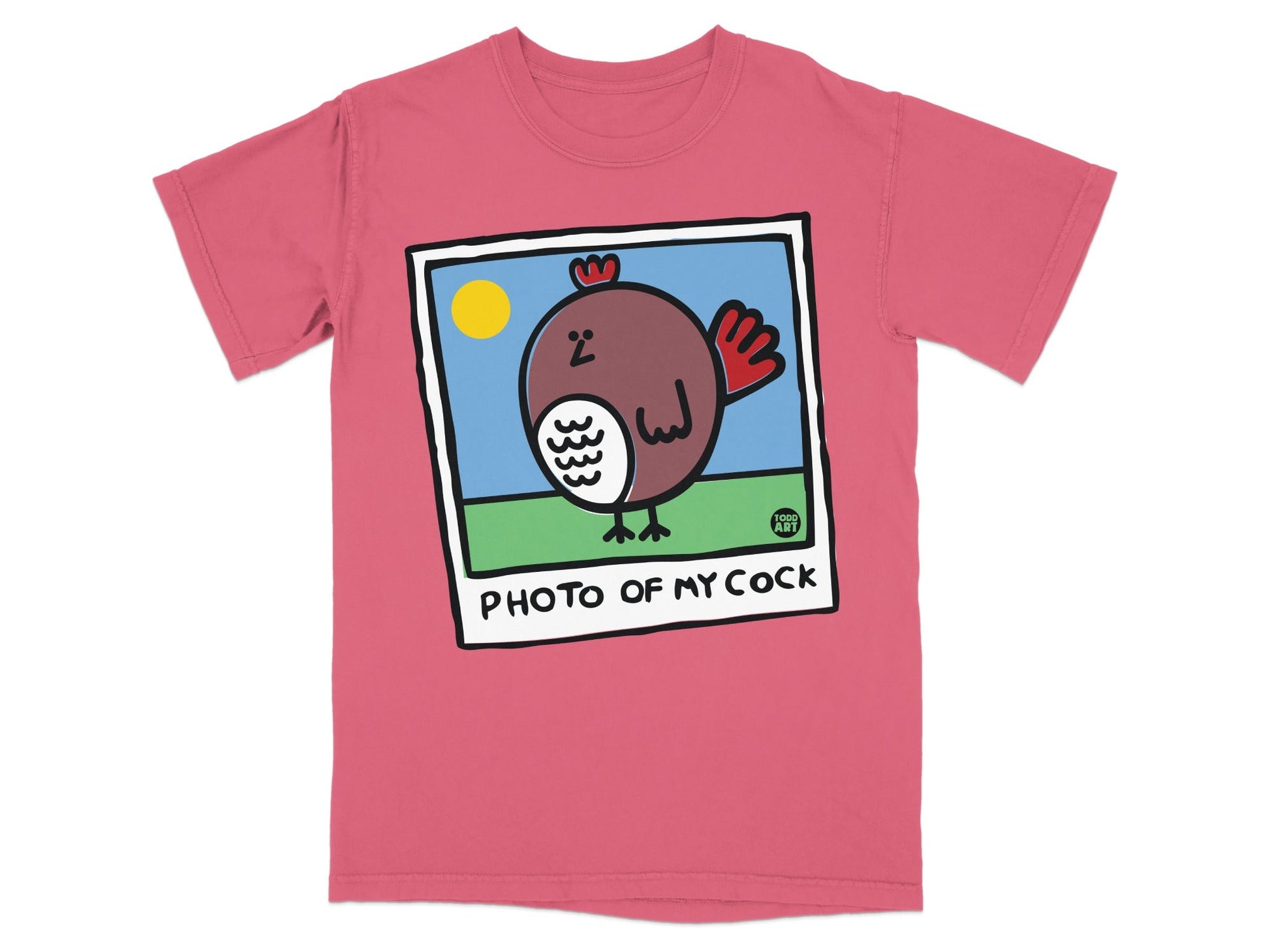 Pink t-shirt with a cartoon hen and "PHOTO OF MY COCK" text.