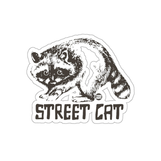 Raccoon Street Cat Todd Art Design Unique Stickers