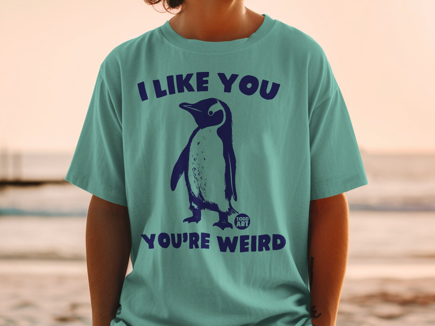 Teal t-shirt with a penguin and text "I LIKE YOU YOU'RE WEIRD".