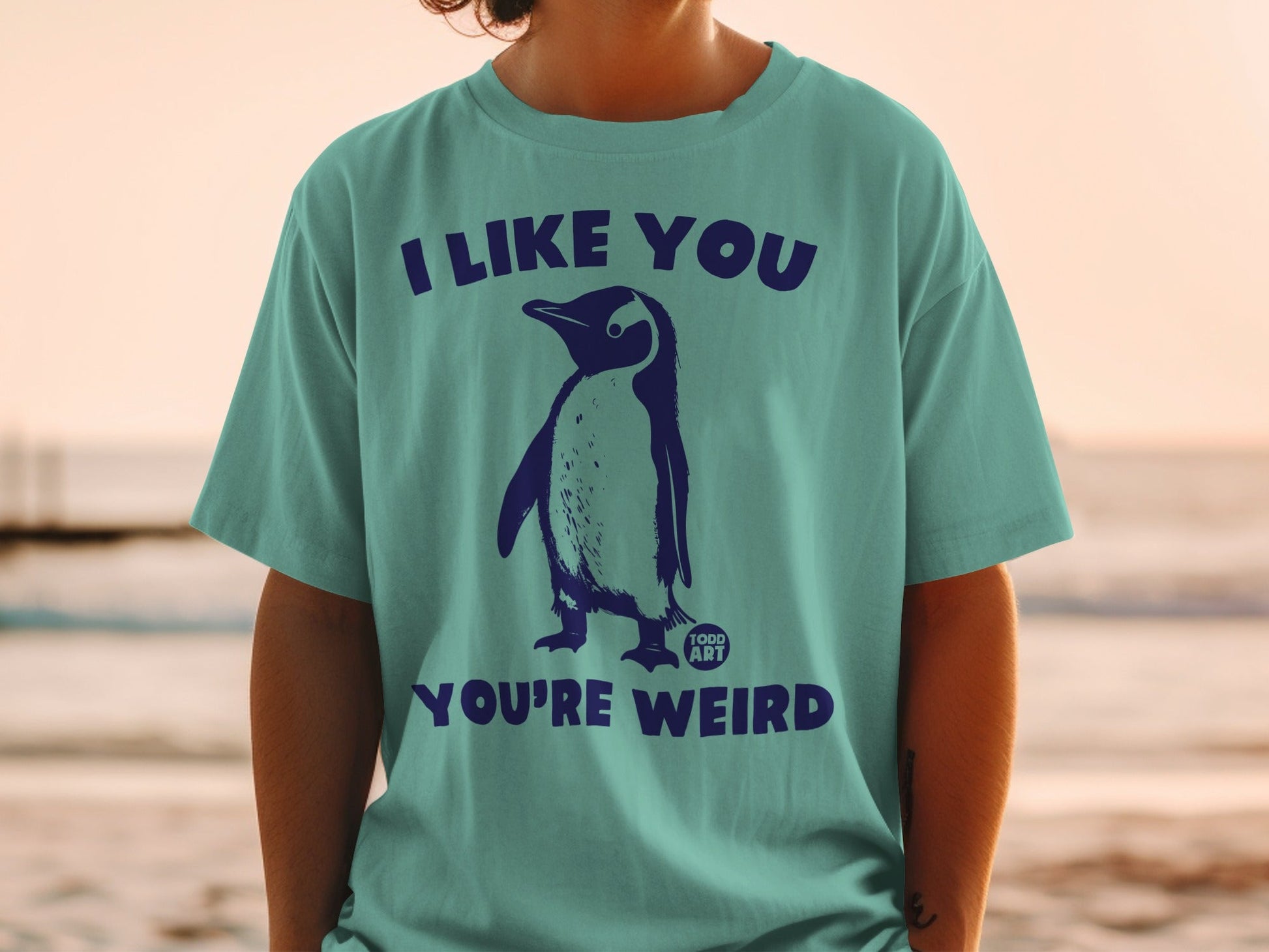 Teal t-shirt with a penguin and text "I LIKE YOU YOU'RE WEIRD".