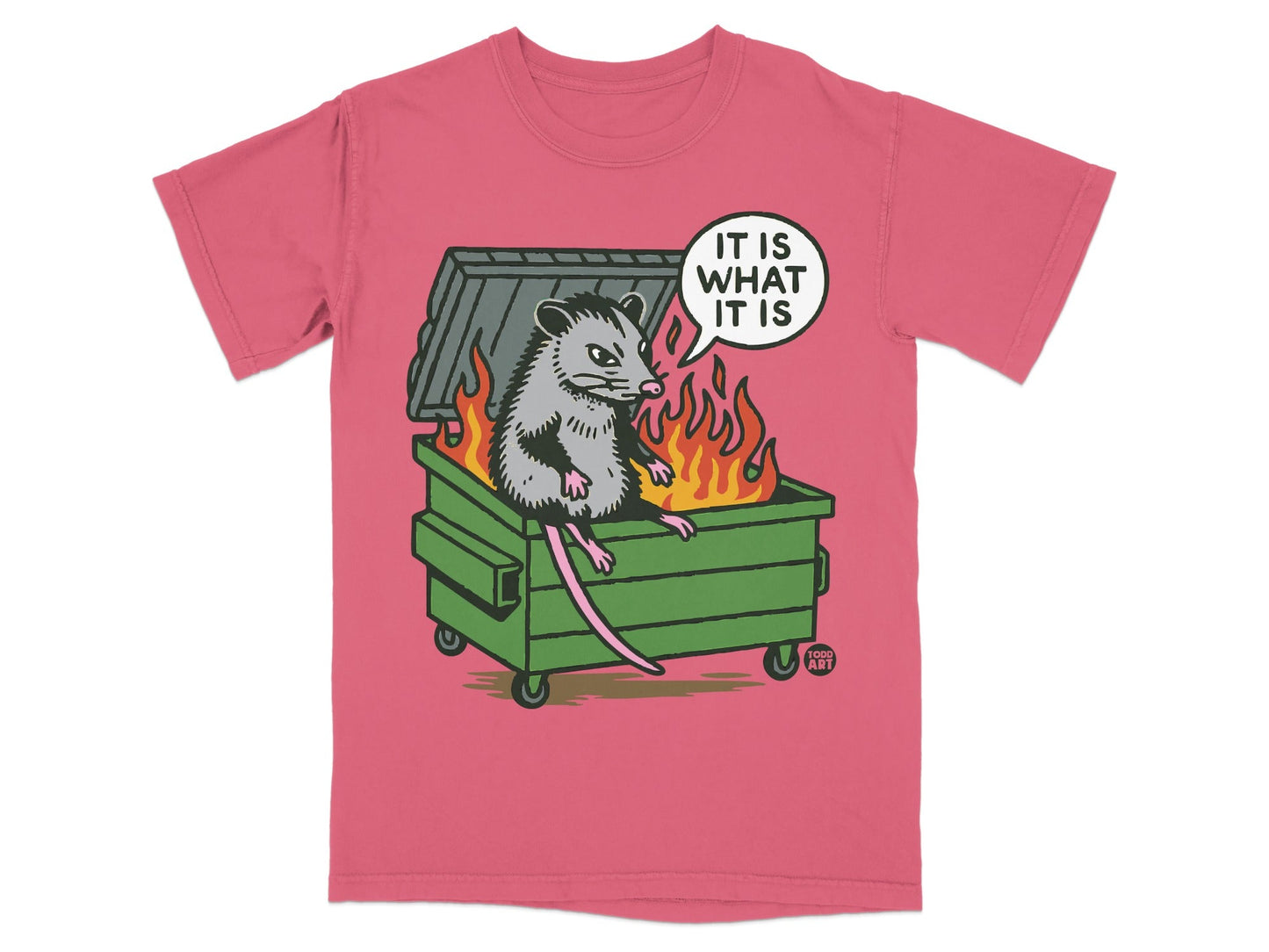 Opossum sitting in a dumpster fire with text "IT IS WHAT IT IS".