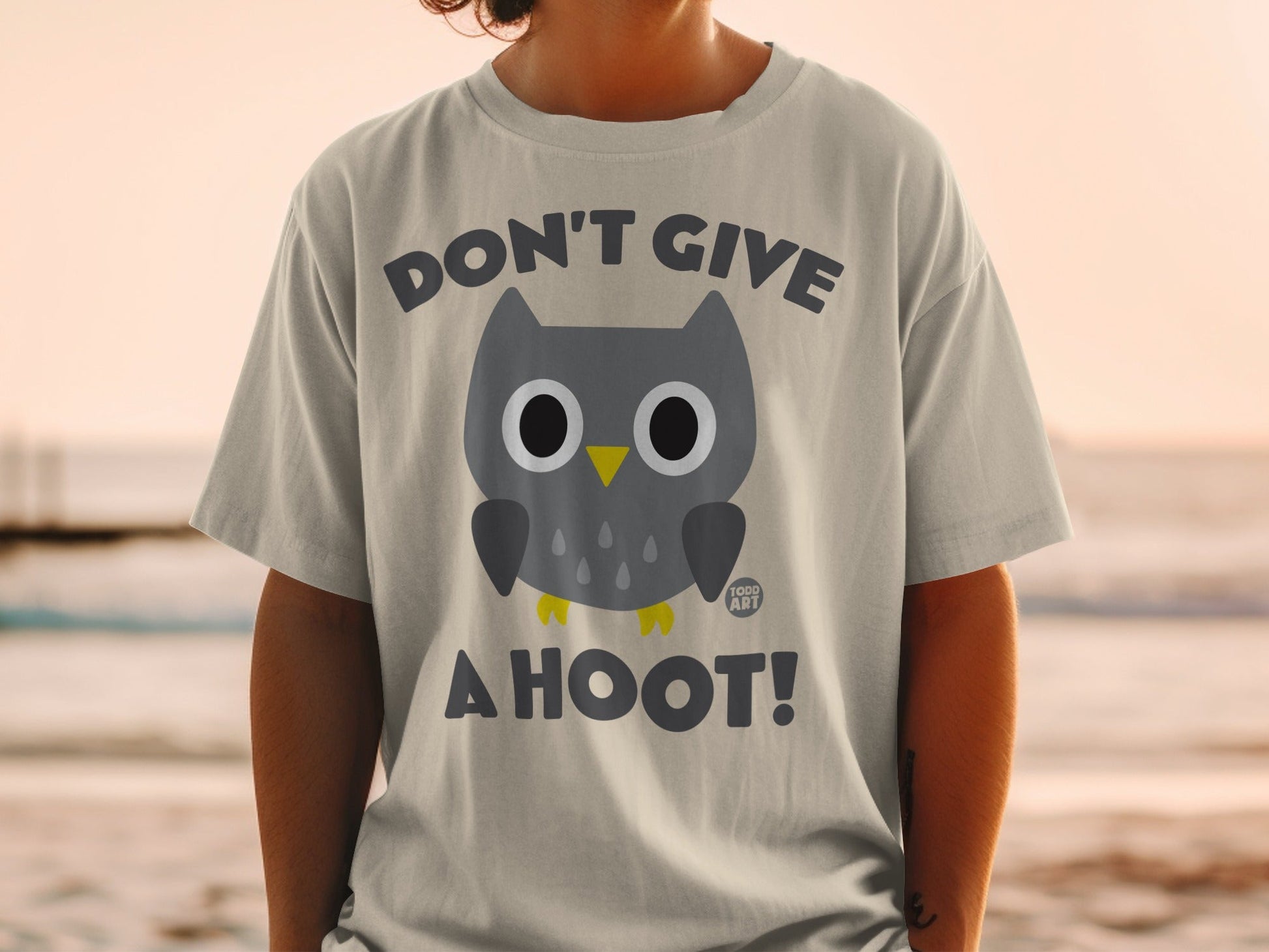 Gray t-shirt with a cartoon owl that says "Don't Give a Hoot!".
