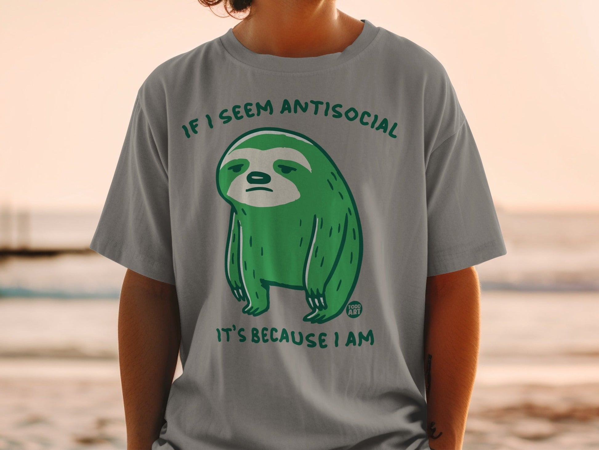 Grey t-shirt with a green sloth illustration and "IF I SEEM ANTISOCIAL IT'S BECAUSE I AM" text.