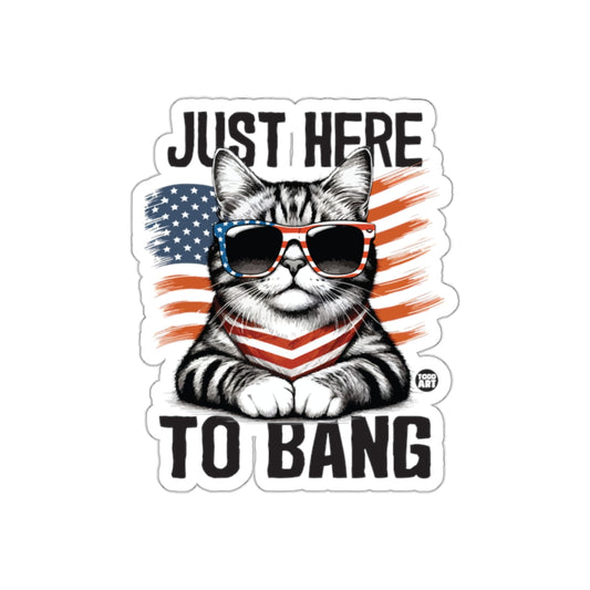Just Here To Bang Patriotic Cat Sticker Product