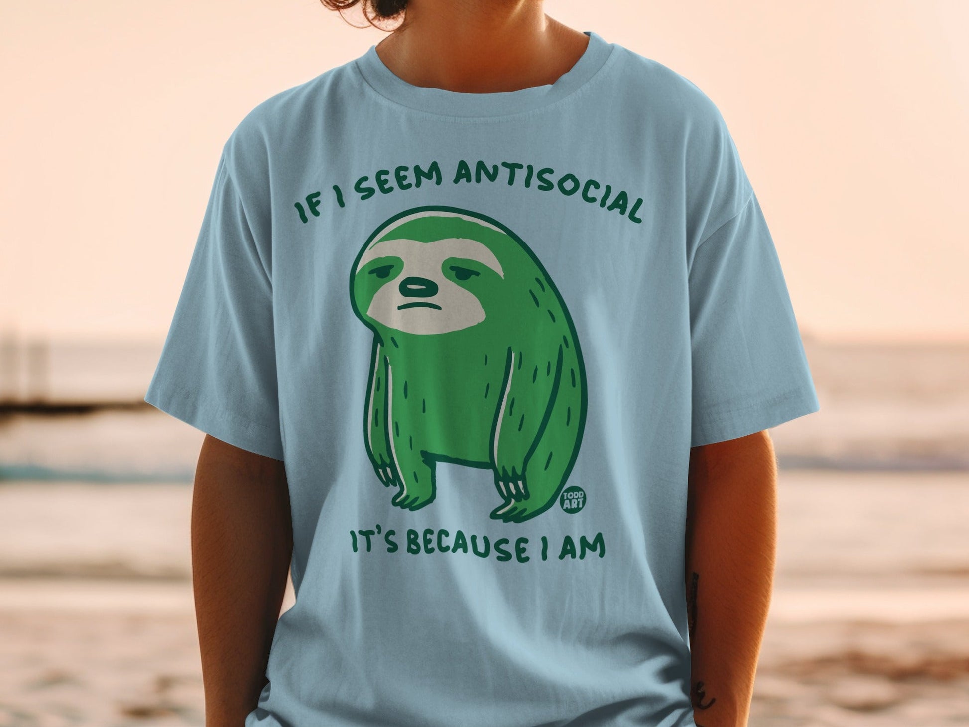 Light blue t-shirt with green cartoon sloth and text "if I seem antisocial it's because I am".