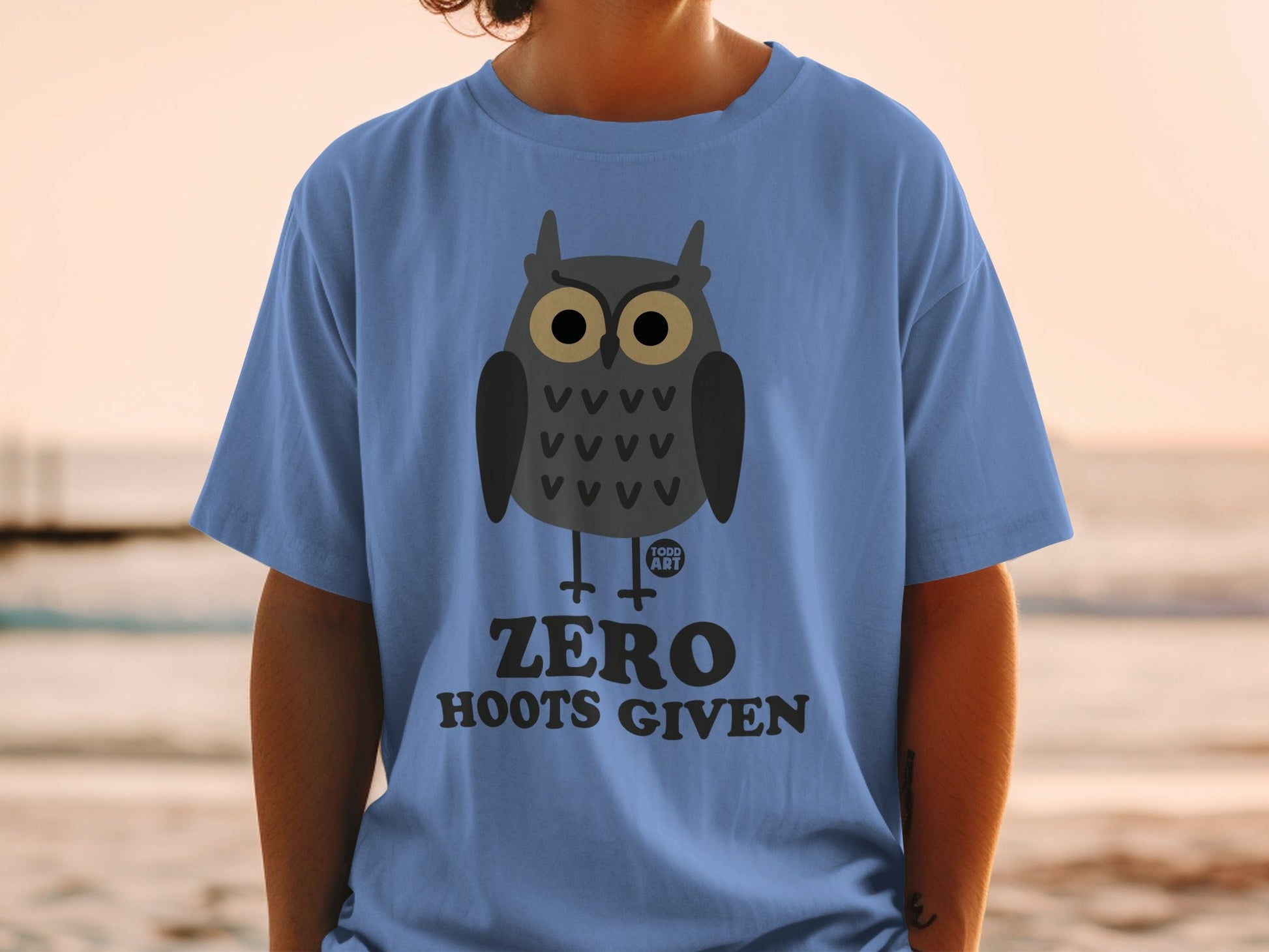 Blue t-shirt with cartoon owl and "ZERO HOOTS GIVEN" text.