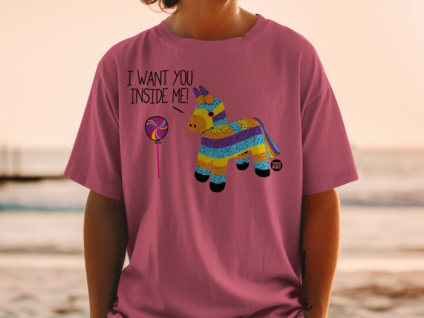 Funny Pi√±ata T-Shirt with Humorous Design