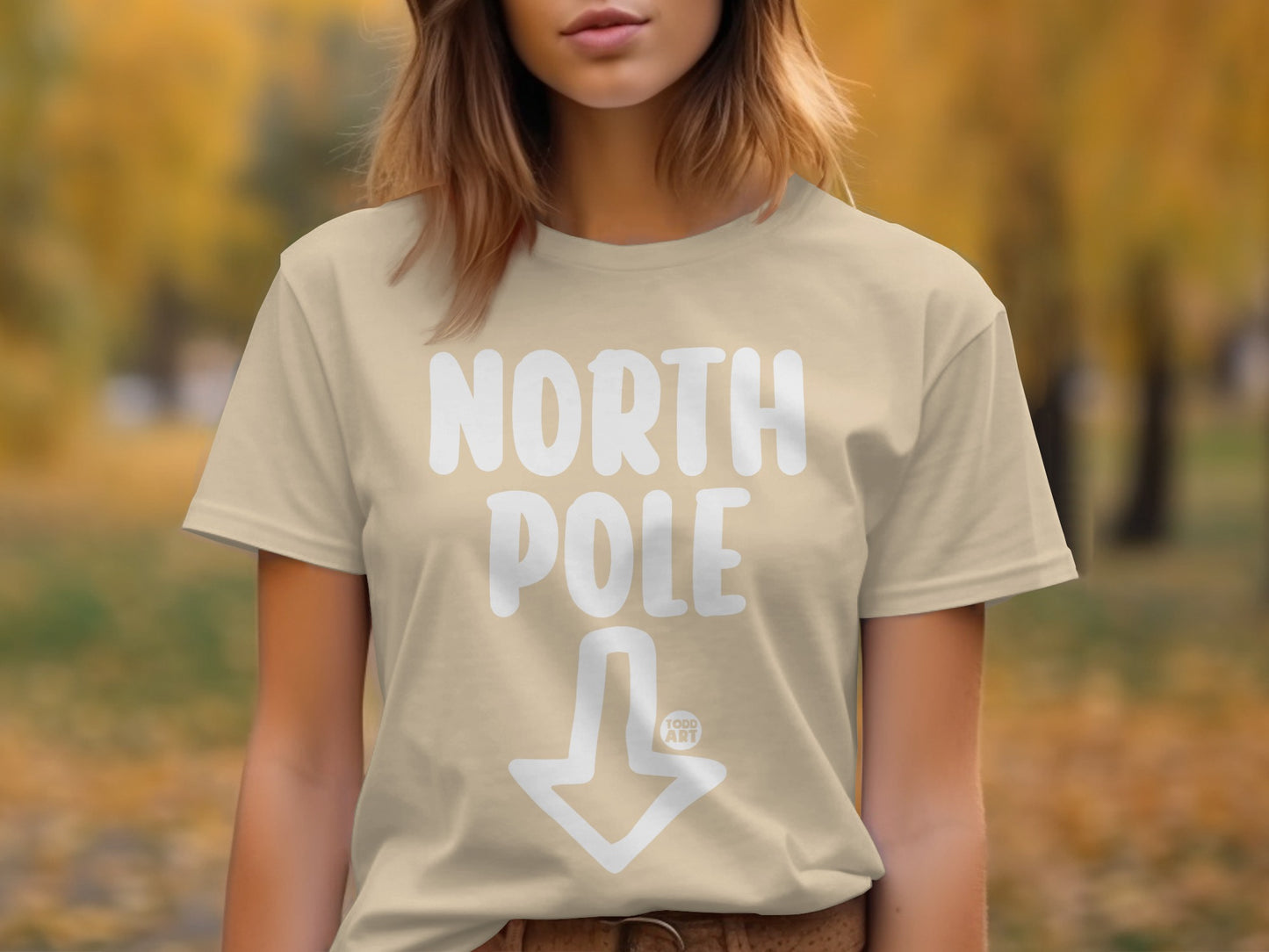 North Pole Arrow Graphic Shirt Product