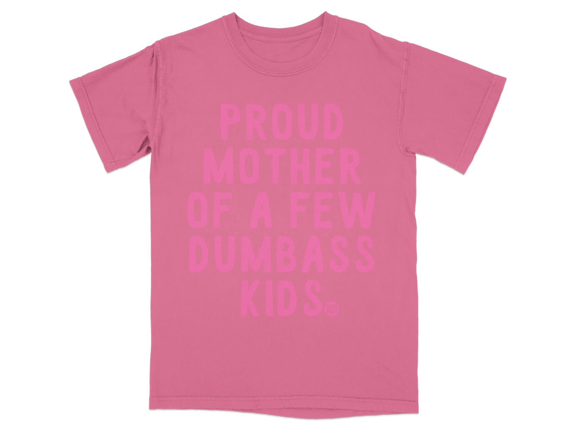 Pink t-shirt with "PROUD MOTHER OF A FEW DUMBASS KIDS" text.