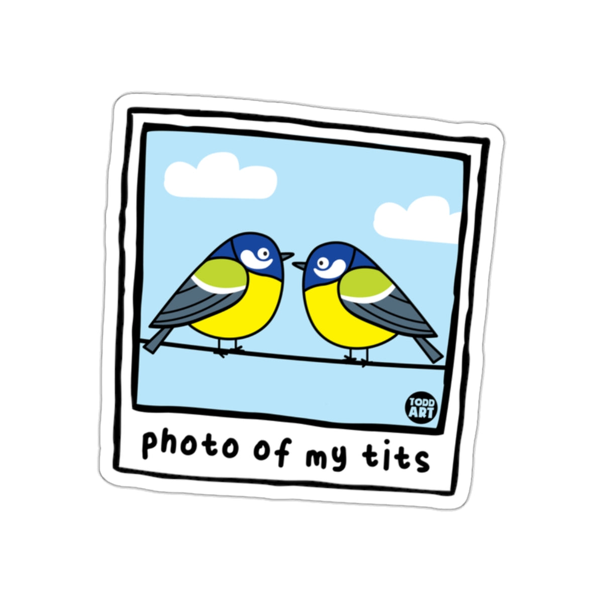 Photo Of My Tits Two Birds Sky Todd Art Stickers