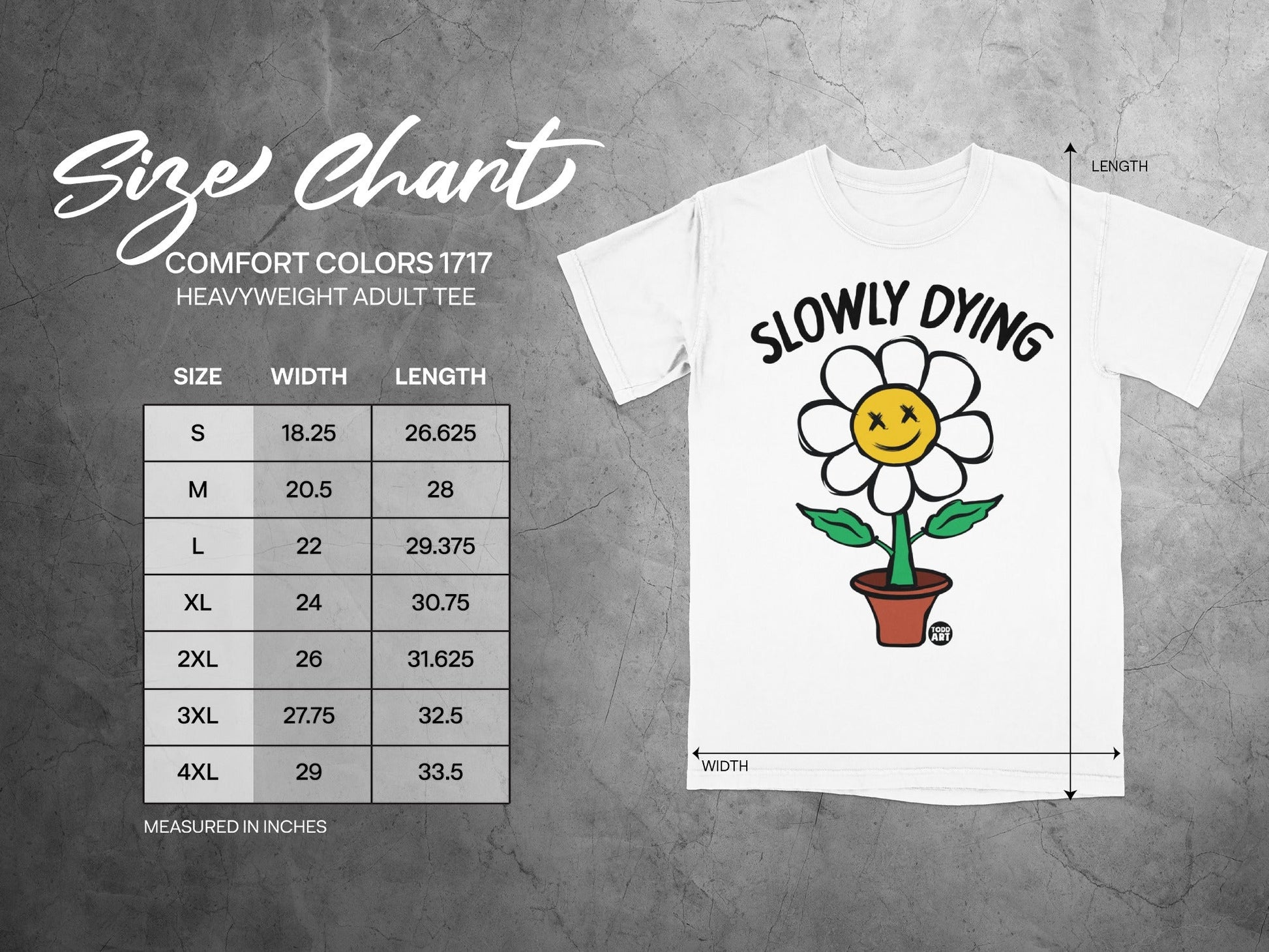 Size chart for a Comfort Colors 1717 heavyweight adult tee with width and length measurements.