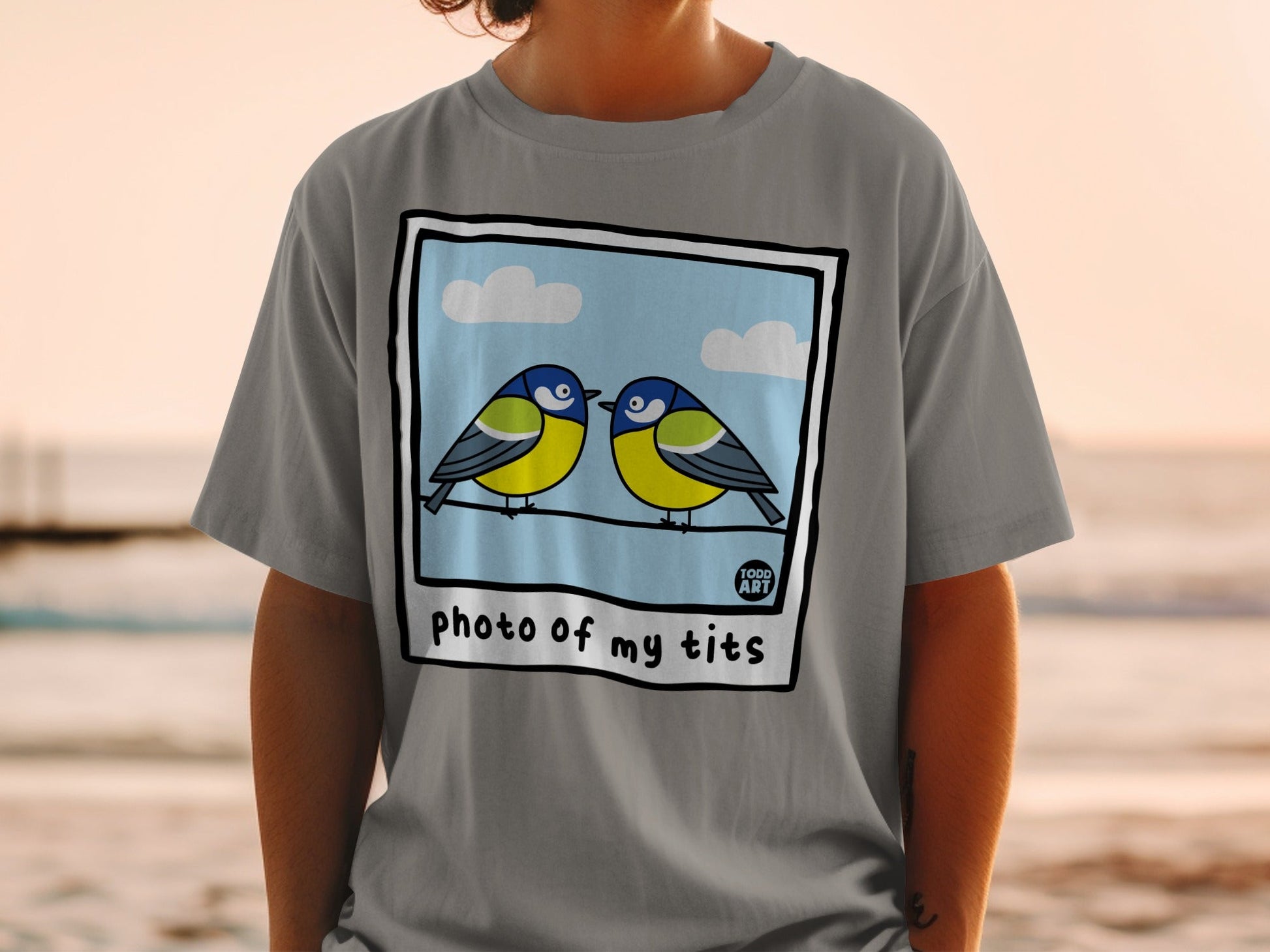 Illustration of two birds on a wire with clouds, text "photo of my tits".