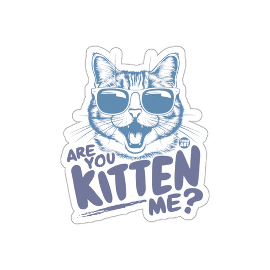 Are You Kitten Me Funny Cat With Sunglasses Design Stickers