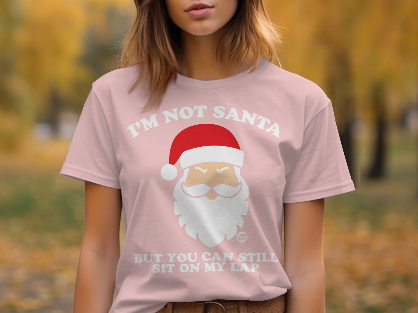 I'm Not Santa But You Can Still Sit On My Lap T-Shirt