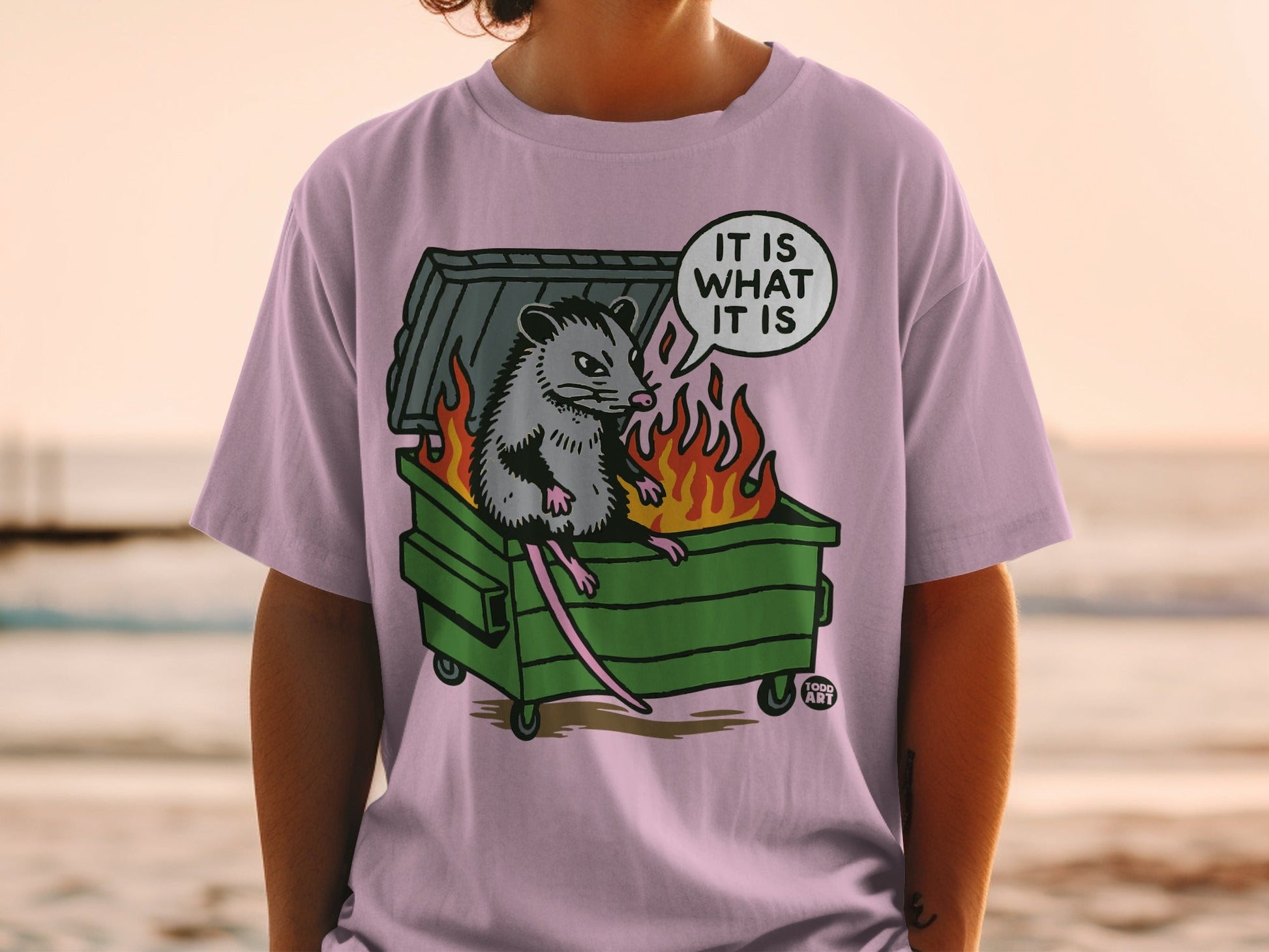 Opossum sitting in a dumpster with flames and "It is what it is" text.