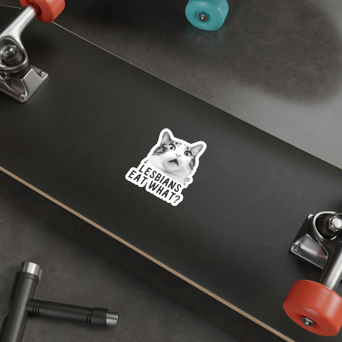 Surprised Cat LESBIANS EAT WHAT Decal Sticker product type