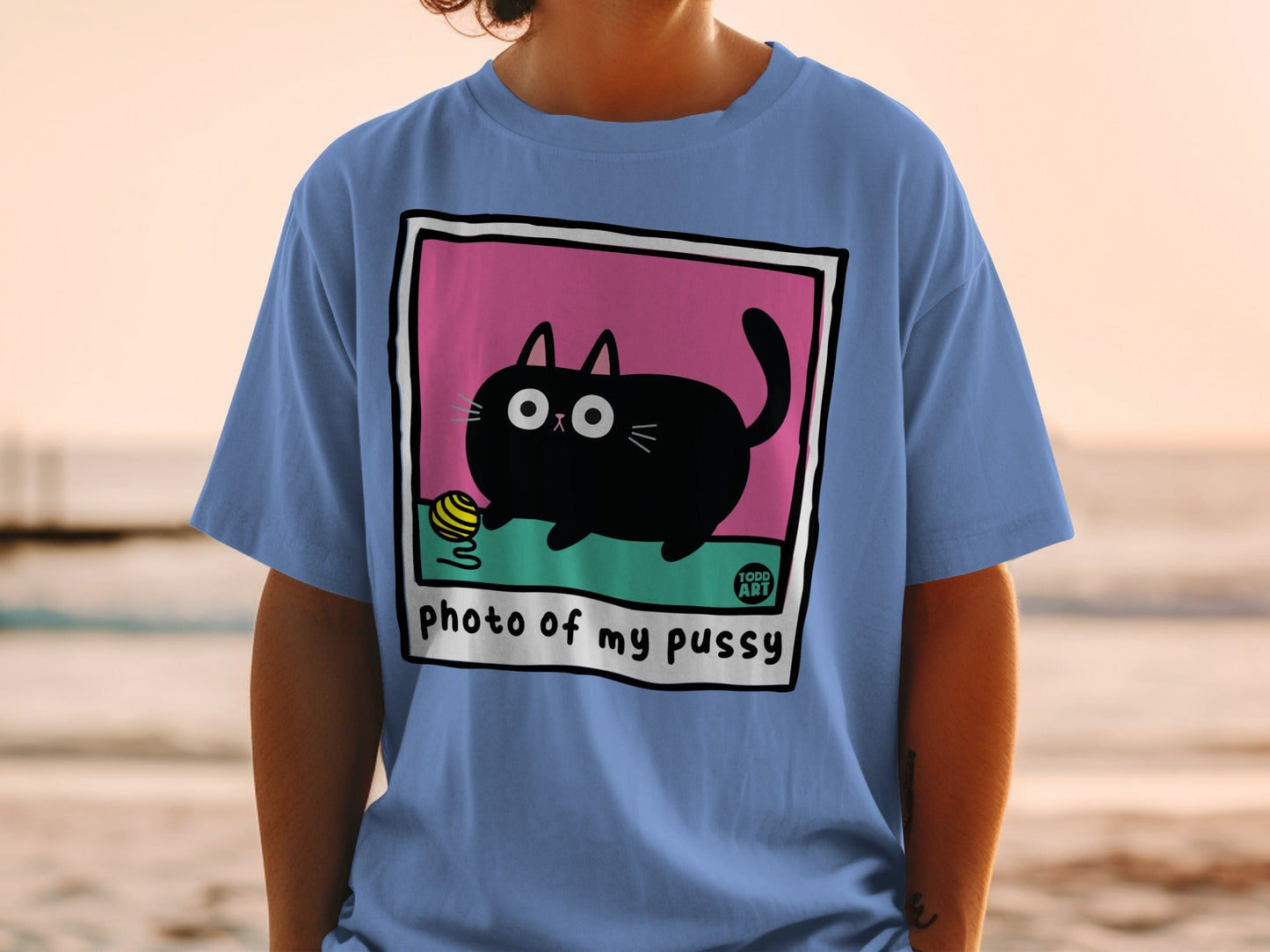 Black cat playing with a ball of yarn in a cartoon frame with text.