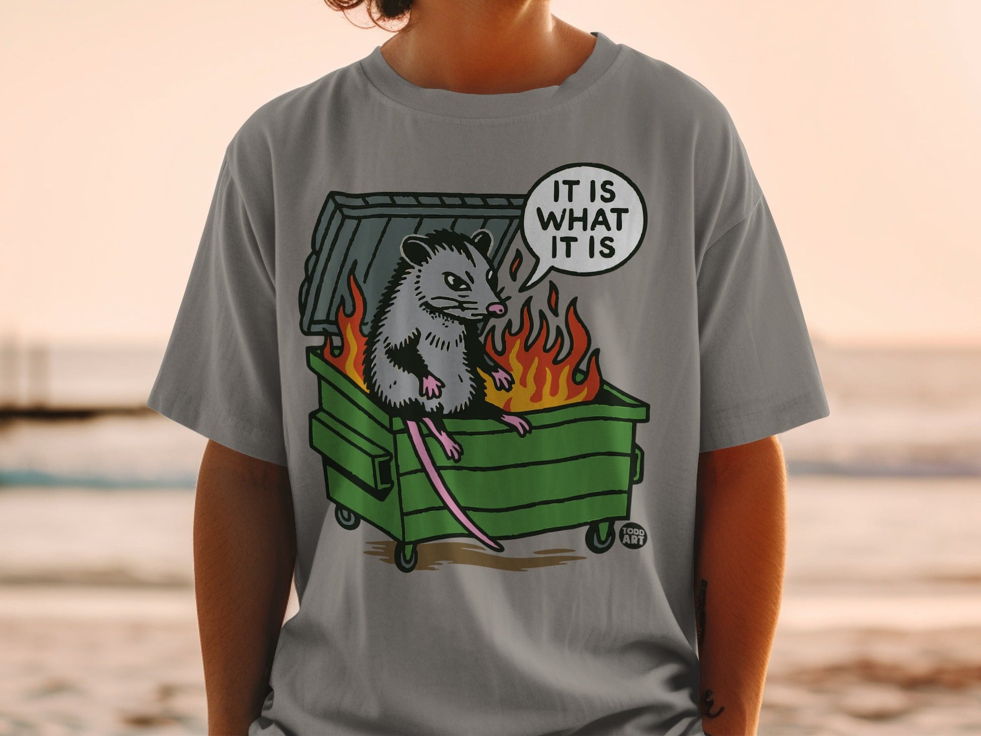 Opossum in burning dumpster with "IT IS WHAT IT IS" speech bubble.