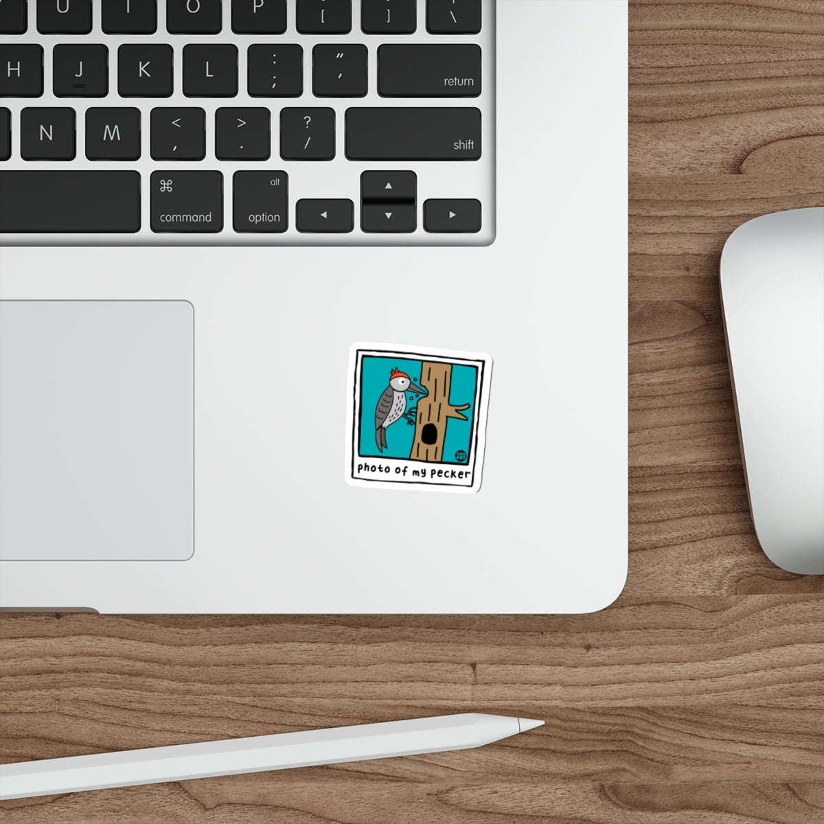 Photo Of My Pecker Funny Bird Cartoon Todd Art Design Stickers