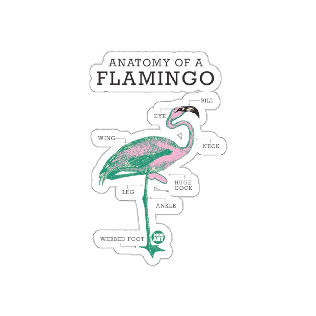Anatomy of a Flamingo Sticker with Fun Labels