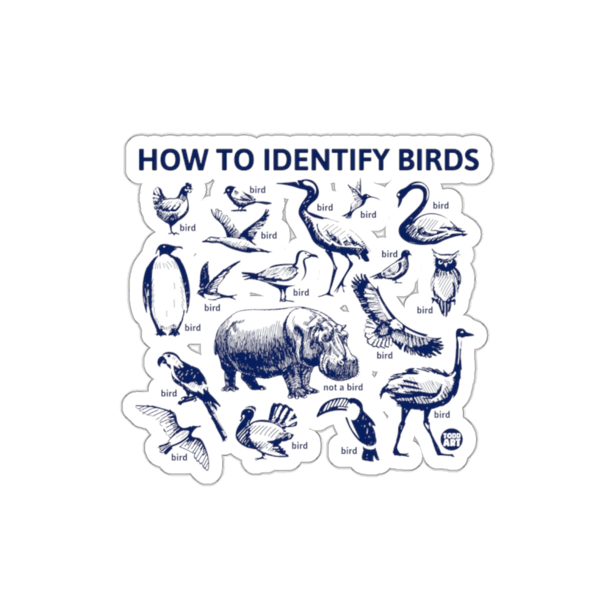 HOW TO IDENTIFY BIRDS DESIGN STICKER PRODUCT