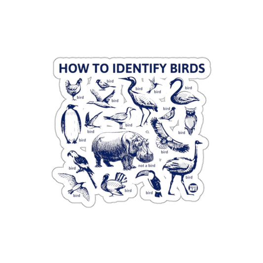 HOW TO IDENTIFY BIRDS DESIGN STICKER PRODUCT