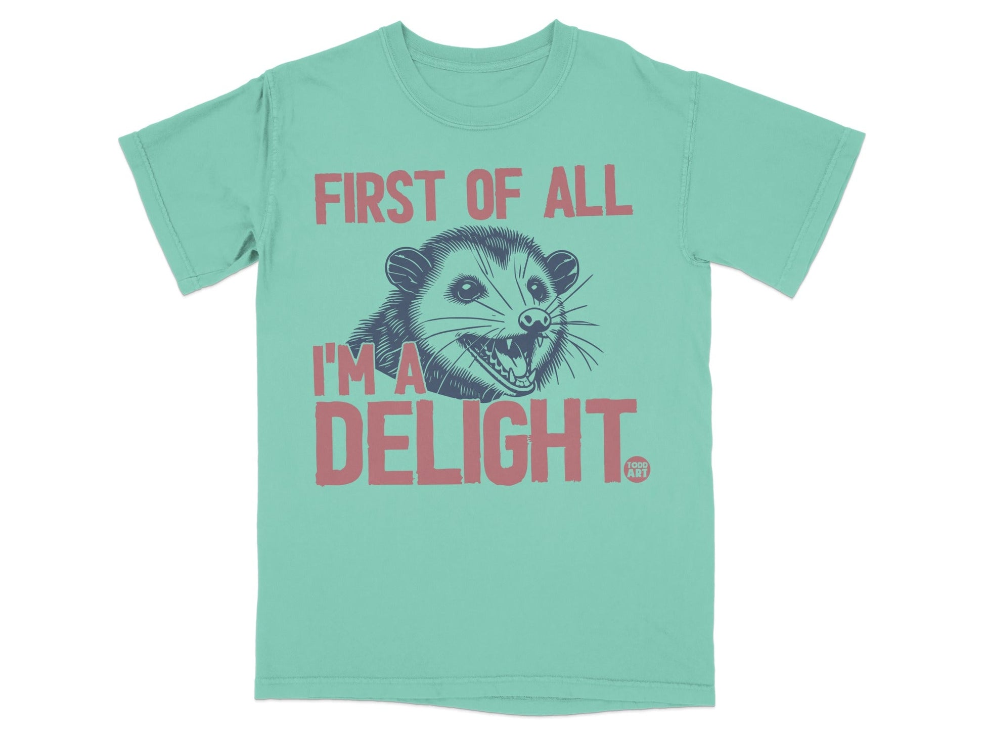 Mint t-shirt with possum graphic and text "First of all I'm a DELIGHT."