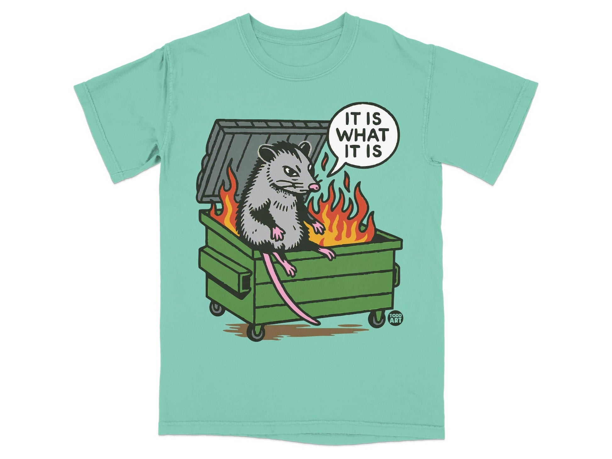 Opossum in burning dumpster, text reads "IT IS WHAT IT IS".