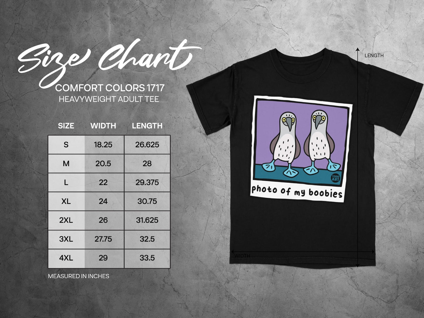 T-shirt size chart with measurements for width and length.