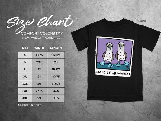 T-shirt size chart with measurements for width and length.