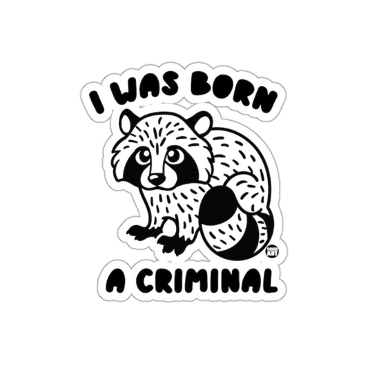 I Was Born A Criminal Raccoon Funny Animal Design Sticker