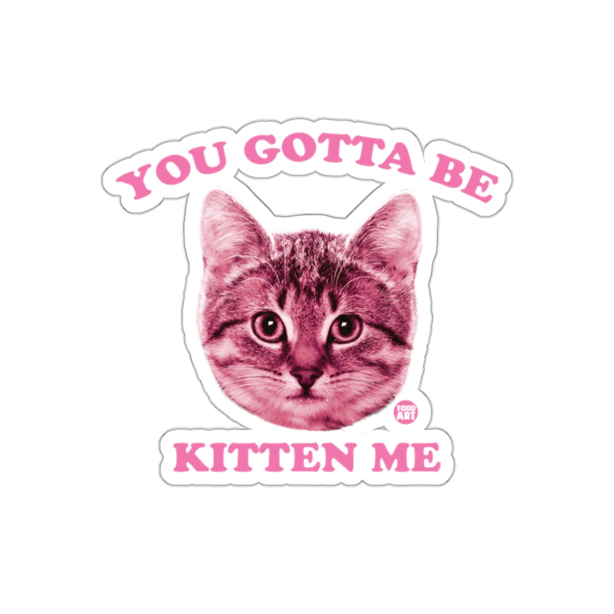 You Gotta Be Kitten Me Cat Head Funny Sticker
