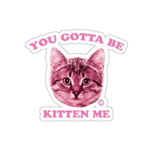 You Gotta Be Kitten Me Cat Head Funny Sticker