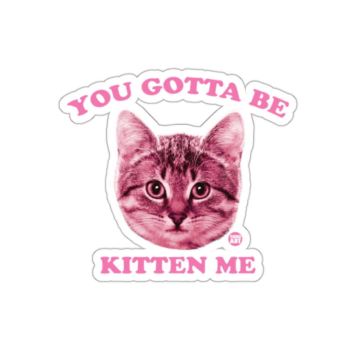 You Gotta Be Kitten Me Cat Head Funny Sticker