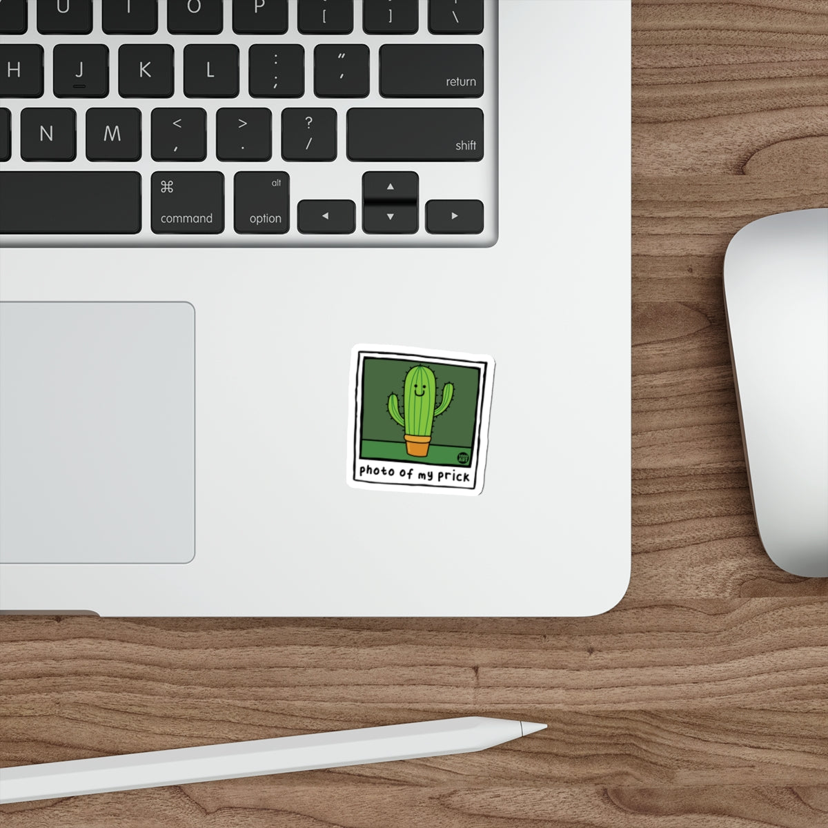 Photo Of My Prick Cactus Image Todd Art Design Stickers