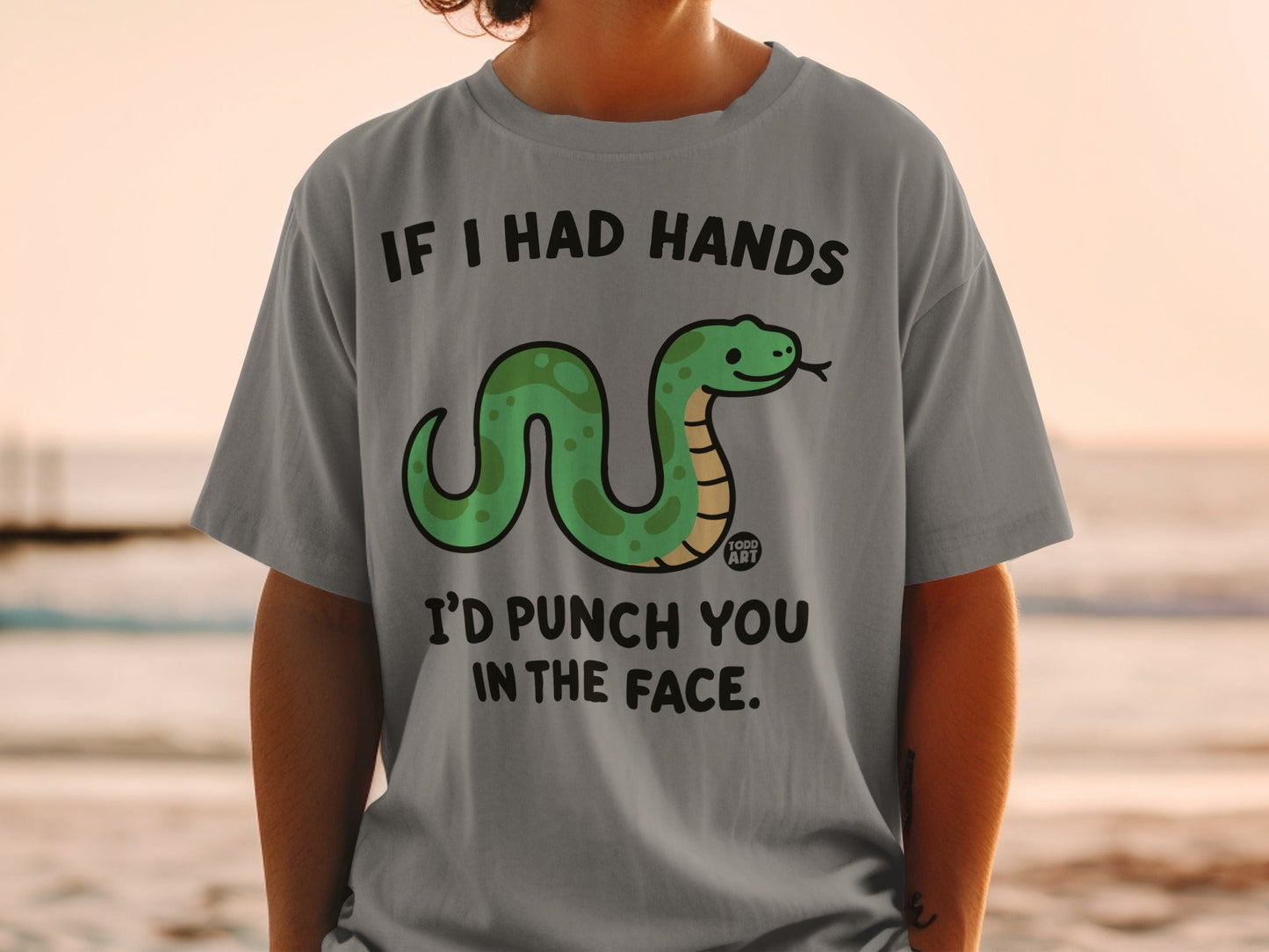 Grey t-shirt with cartoon snake and text "IF I HAD HANDS I'D PUNCH YOU IN THE FACE."